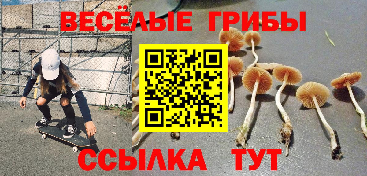 Канабис Можга
